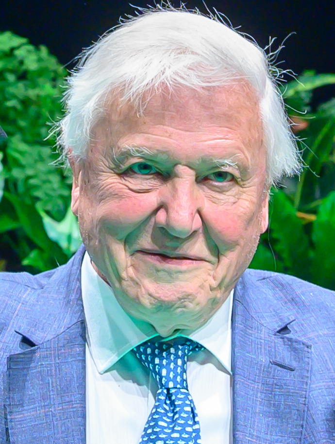 Sir David Attenborough in 2019